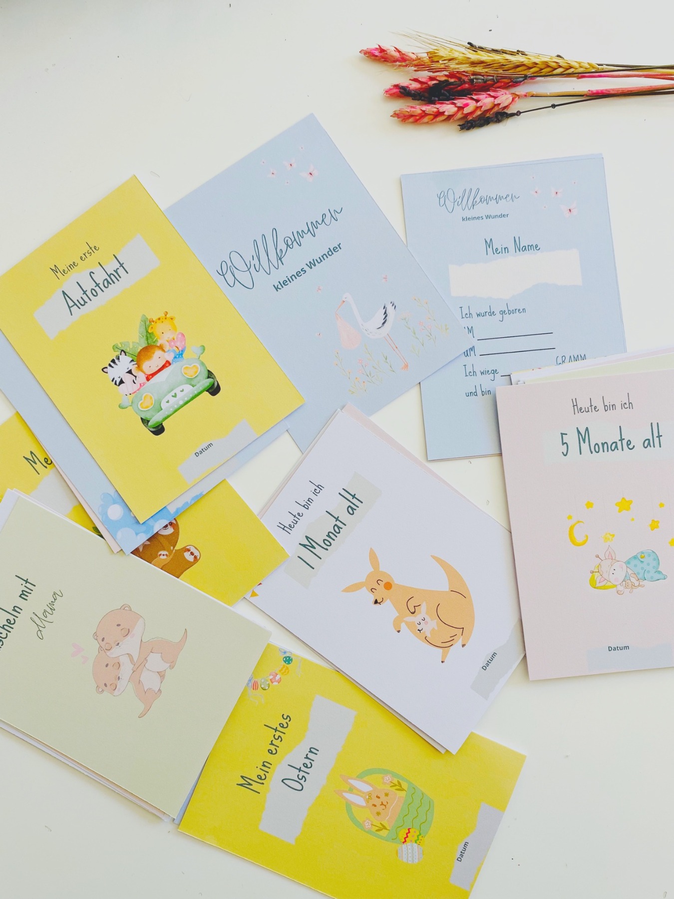 Baby Meilensteinkarten 36 Stück für Jungs und Mädchen ideal als Geschenk zur Babyparty oder zur