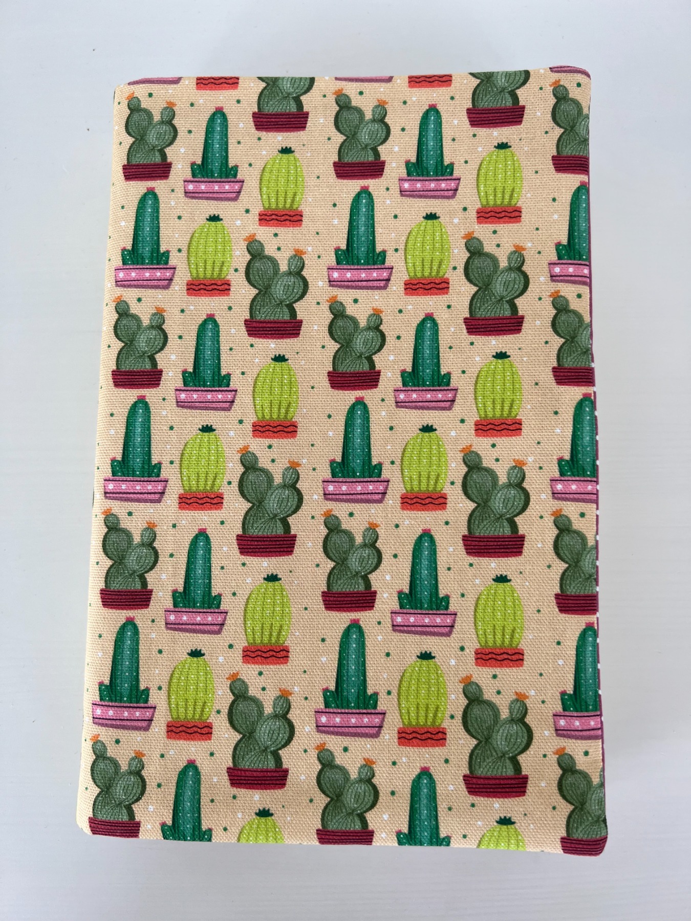 Büchercover - Kaktus
