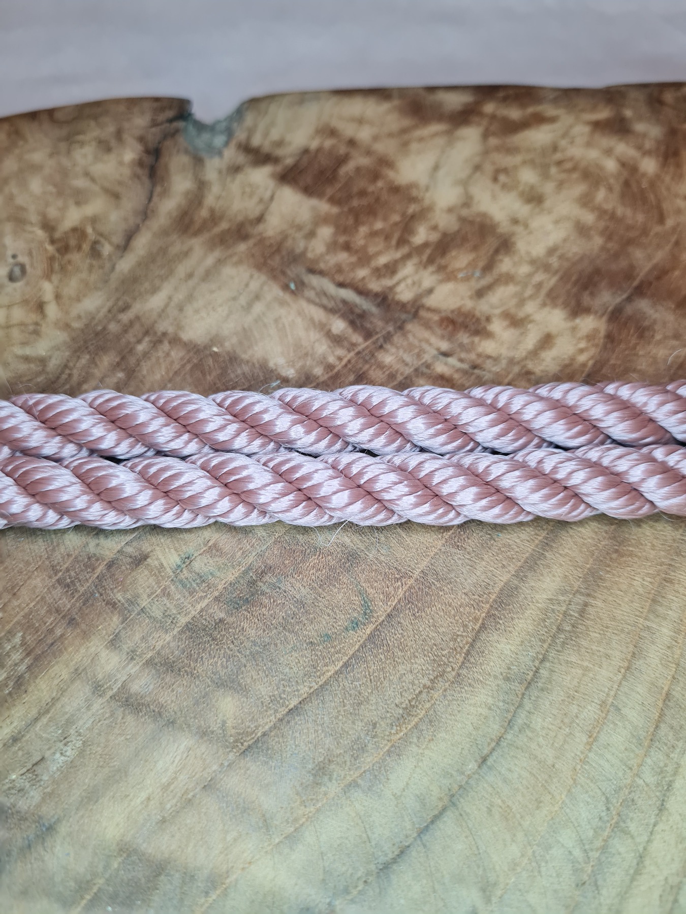 Halsband und Leine | Collar and Leash | in dunklem rosa 2