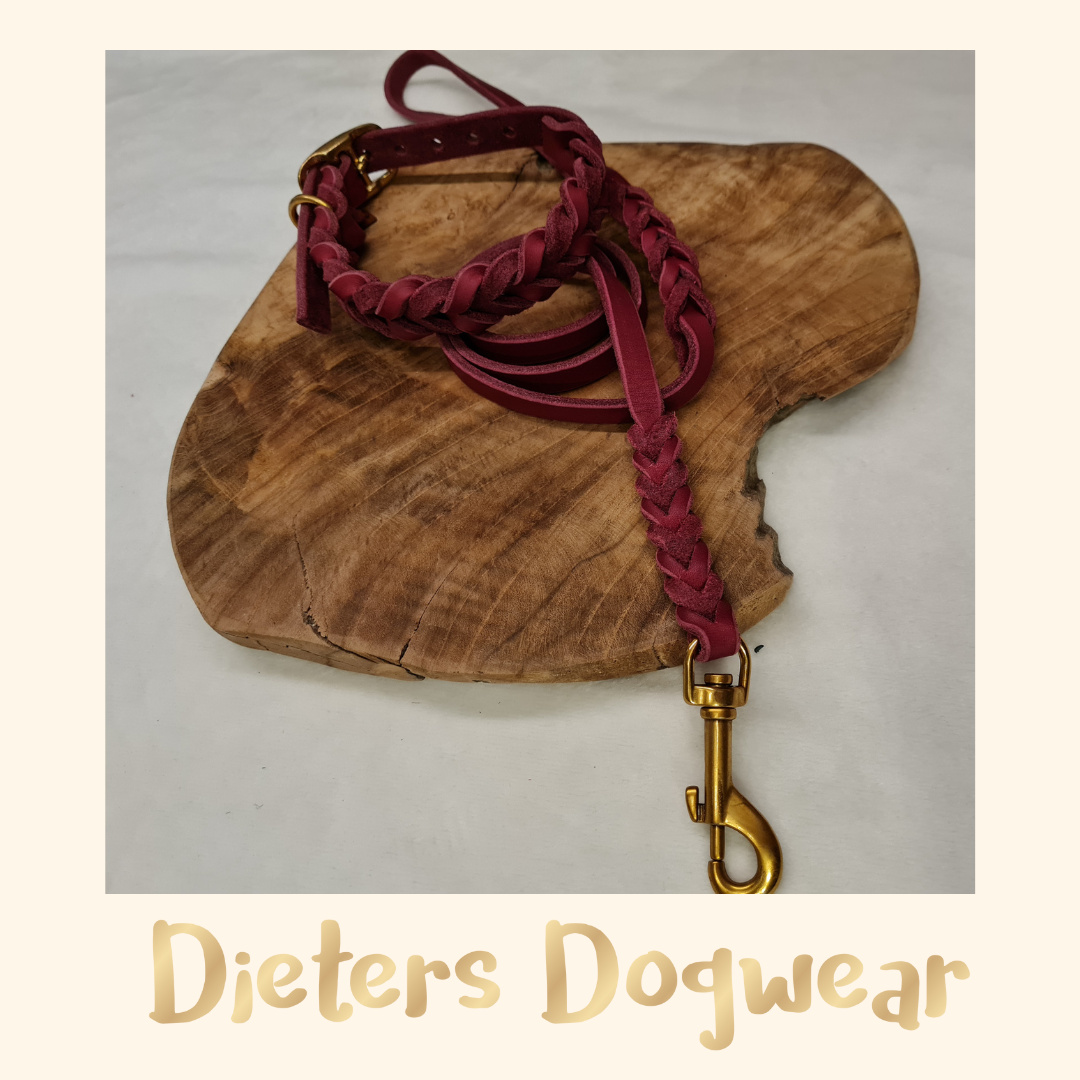 Halsband | Hundehalsband | Fettlederhalsband | Fettleder | Collar | Dogcollar - verstellbar