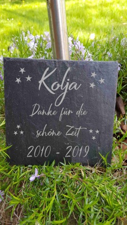 Gedenktafel für Hund Katze Haustier Grabstein Grabplatte Trauerplatte aus Schiefer Schiefertafel -