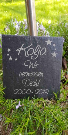 Gedenktafel für Hund Katze Haustier Grabstein Grabplatte Trauerplatte aus Schiefer Schiefertafel - Trauer Tierverlust Haustier