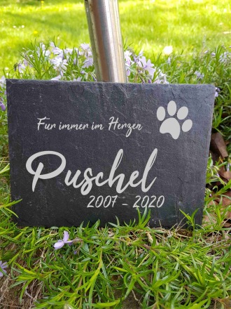 Gedenktafel für Hund Katze Haustier Grabstein Grabplatte Trauerplatte aus Schiefer Schiefertafel - Trauer Tierverlust Haustier