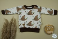 Baby Sweatshirt Größe 62