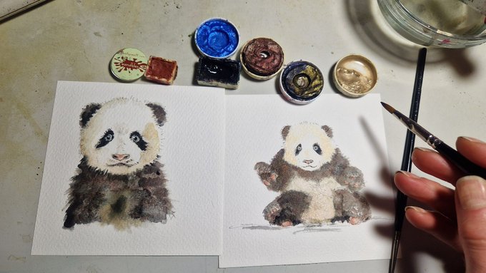 Panda Babys, Illustration handgemalt, gerahmt in Minirahmen 2