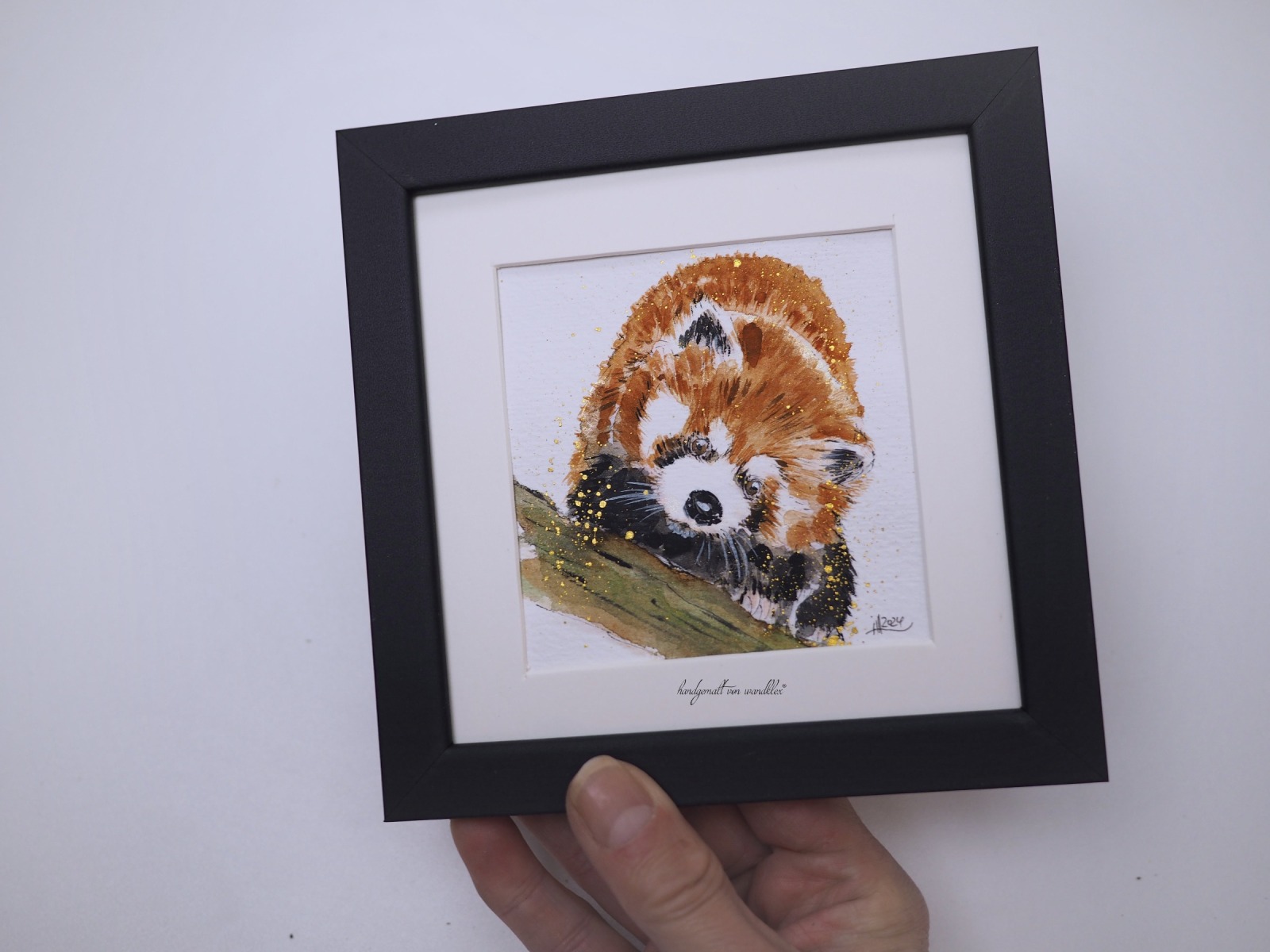 Roter Panda Illustration handgemalt, gerahmt in Minirahmen, Rahmenfarbe wählbar schwarz oder