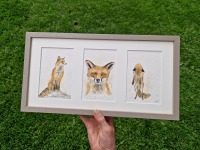 Fuchsstudien, Trio, 3 gemeinsam gerahmte Illustrationen handgemalt 9