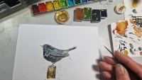 Amsel Illustration handgemalt, gerahmt in Minirahmen 5