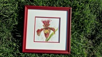 Frauenschuh Orchidee Illustration Aquarell edel gerahmtes handgemaltes Original, Blumenbild,