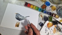 Amsel Illustration handgemalt, gerahmt in Minirahmen 3