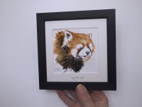 Roter Panda Illustration handgemalt, gerahmt in Minirahmen, Rahmenfarbe wählbar schwarz oder