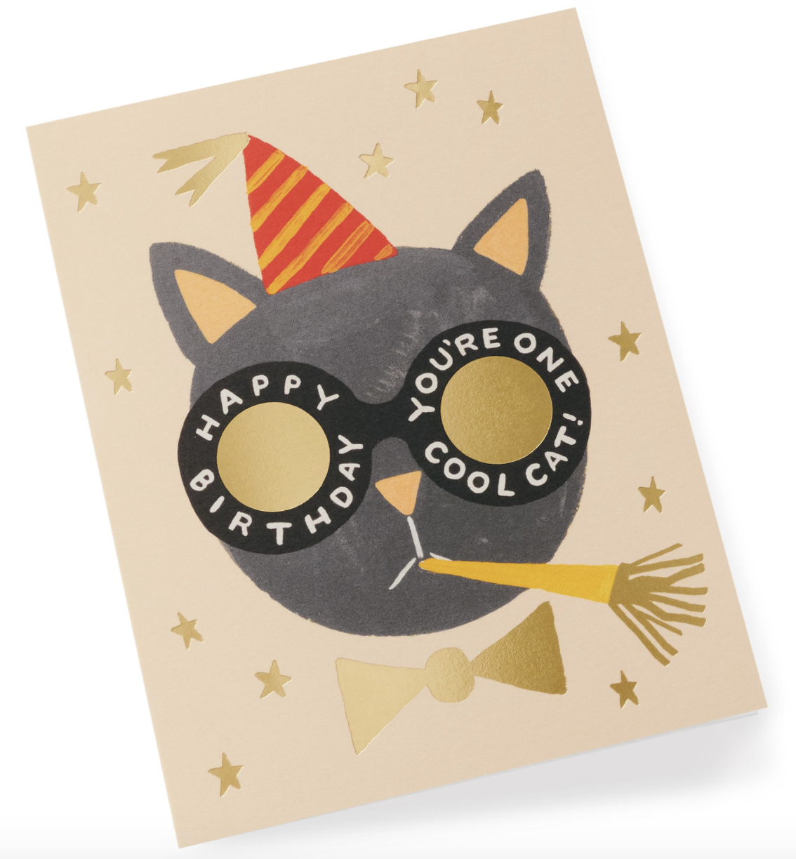 Birthday Cat Greeting Card 2