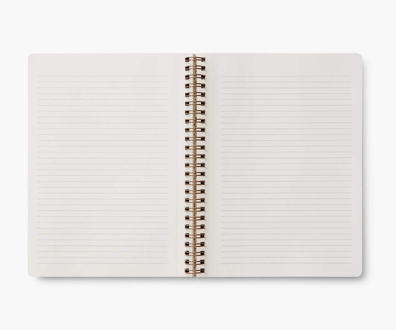Curio Spiral Notebook 2