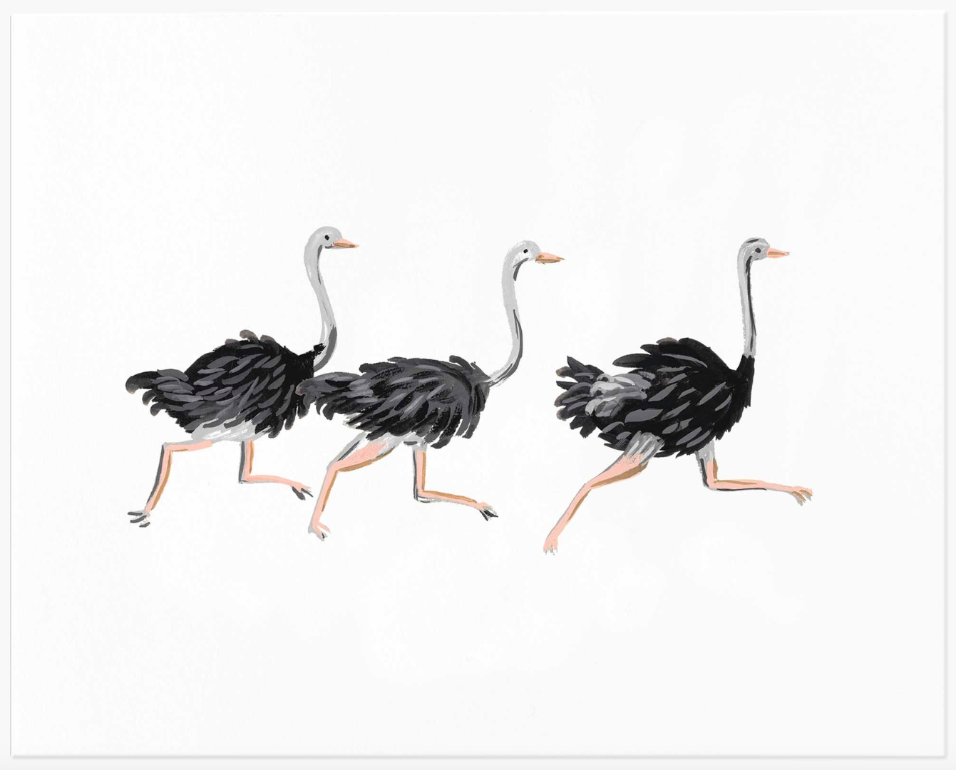 Ostrich Art Print
