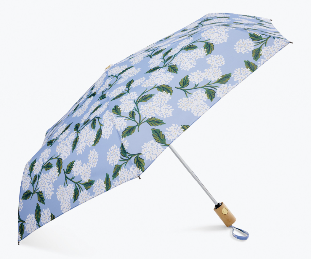 Hydrangea Umbrella 3