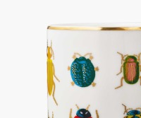 Beetles &amp; Bugs Porcelain Vase 3