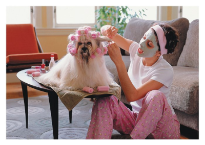 Dog in Curlers - Palm Press