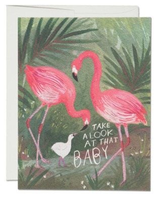 Flamingo Baby Card - Red Cap Cards