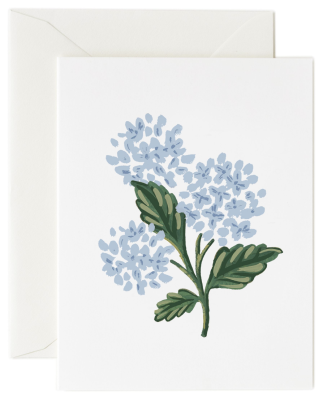 Hydrangea Bloom Card - Rifle Paper