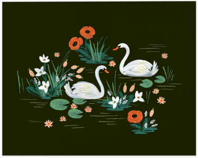 Swan Art Print - Kunstdruck