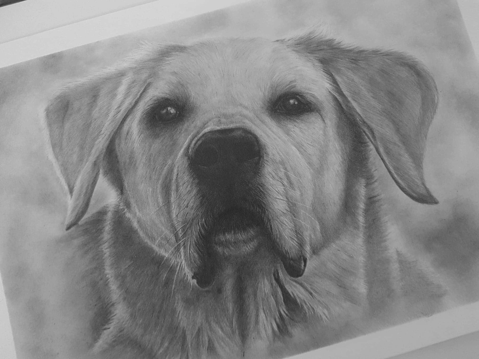 Zeichnung von deinem Haustier nach Fotovorlage Din A4 2