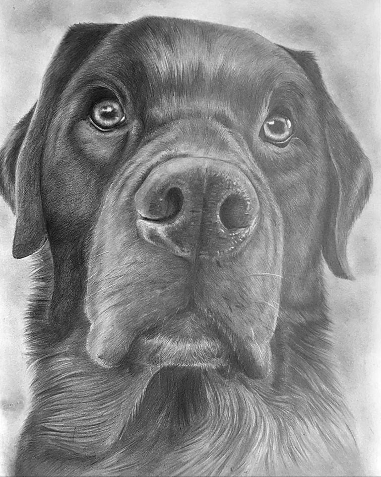 Zeichnung von deinem Haustier nach Fotovorlage Din A4 7