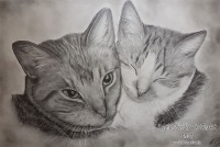 Zeichnung von deinem Haustier nach Fotovorlage Din A4 5