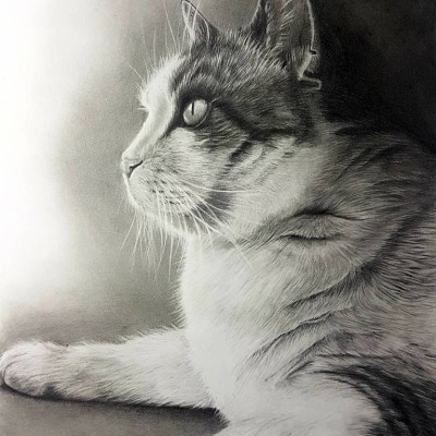 Zeichnung von deinem Haustier nach Fotovorlage Din A4 - Tierportrait