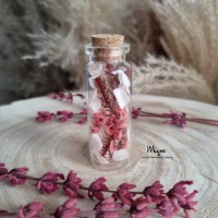 Mini Flower Bottle , Blumen in der Flasche, Blumengeschenke, Trockenblumendeko 6