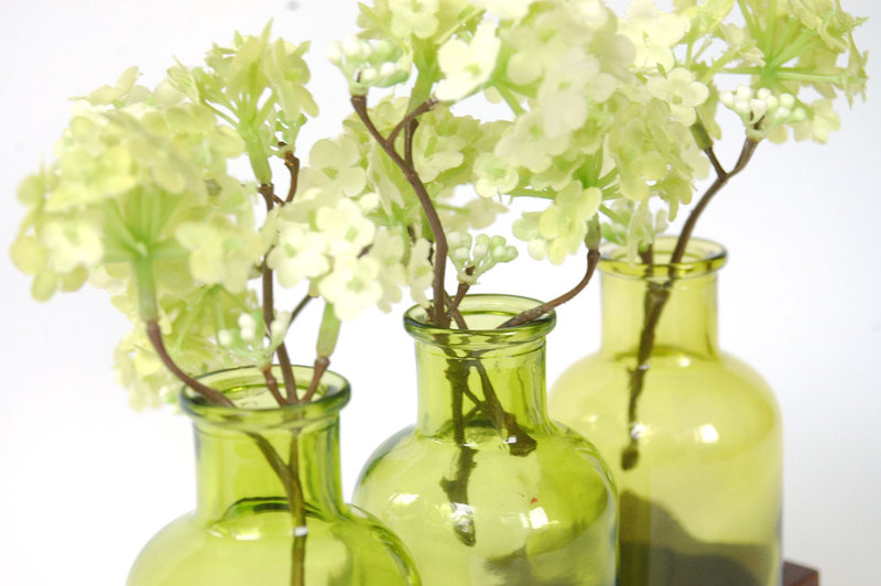 2 Milchkanne aus Nuss grün Vase Blumenvase 2