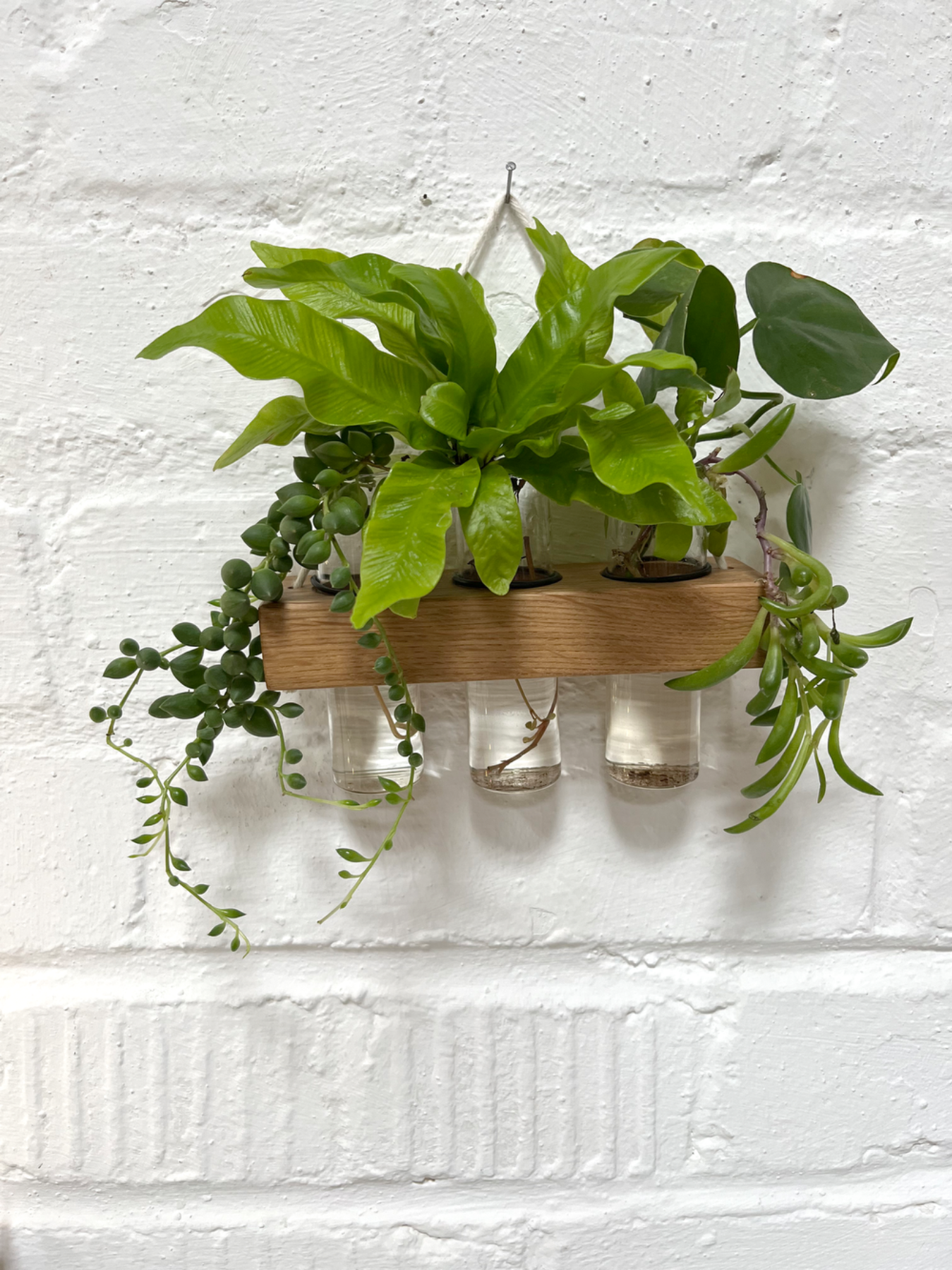 Vermehrungsstation aus Holz, Wandvase, Wanddeko Sommer, kleine Hängevase aus Eiche im Landhausstil,