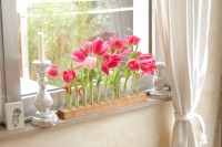 Vase mit Reagenzgläsern, Blumenwiese in Kirsche 4