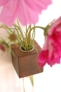 moderner Kühlschrankmagnet für Blumen, Magnet, nachhaltige Holz Vase, kleines Wichtelgeschenk,