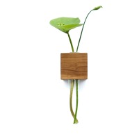 moderne Wandvase für Blumen, Vase im Landhausstil, zero waste Hängevase, kleines Wichtelgeschenk,