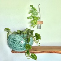 Wandvase, Wand Deko Sommer, kleine Hängevase aus Eiche im Landhausstil, Vase für Trockenblumen,