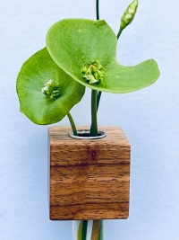 kleine Wandvase für frische oder Trockenblumen, Vermehrungsstation für die Wand, Geschenk für