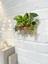 Vermehrungsstation aus Holz, Wandvase, Wanddeko Sommer, kleine Hängevase aus Eiche im Landhausstil,