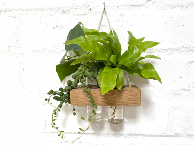 Vermehrungsstation aus Holz, Wandvase, Wanddeko Sommer, kleine Hängevase aus Eiche im Landhausstil,