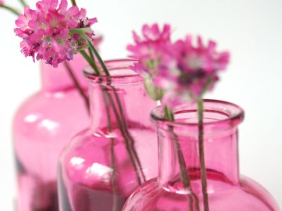 2 Milchkanne aus Nuss rosa, Blumenvase, Vase