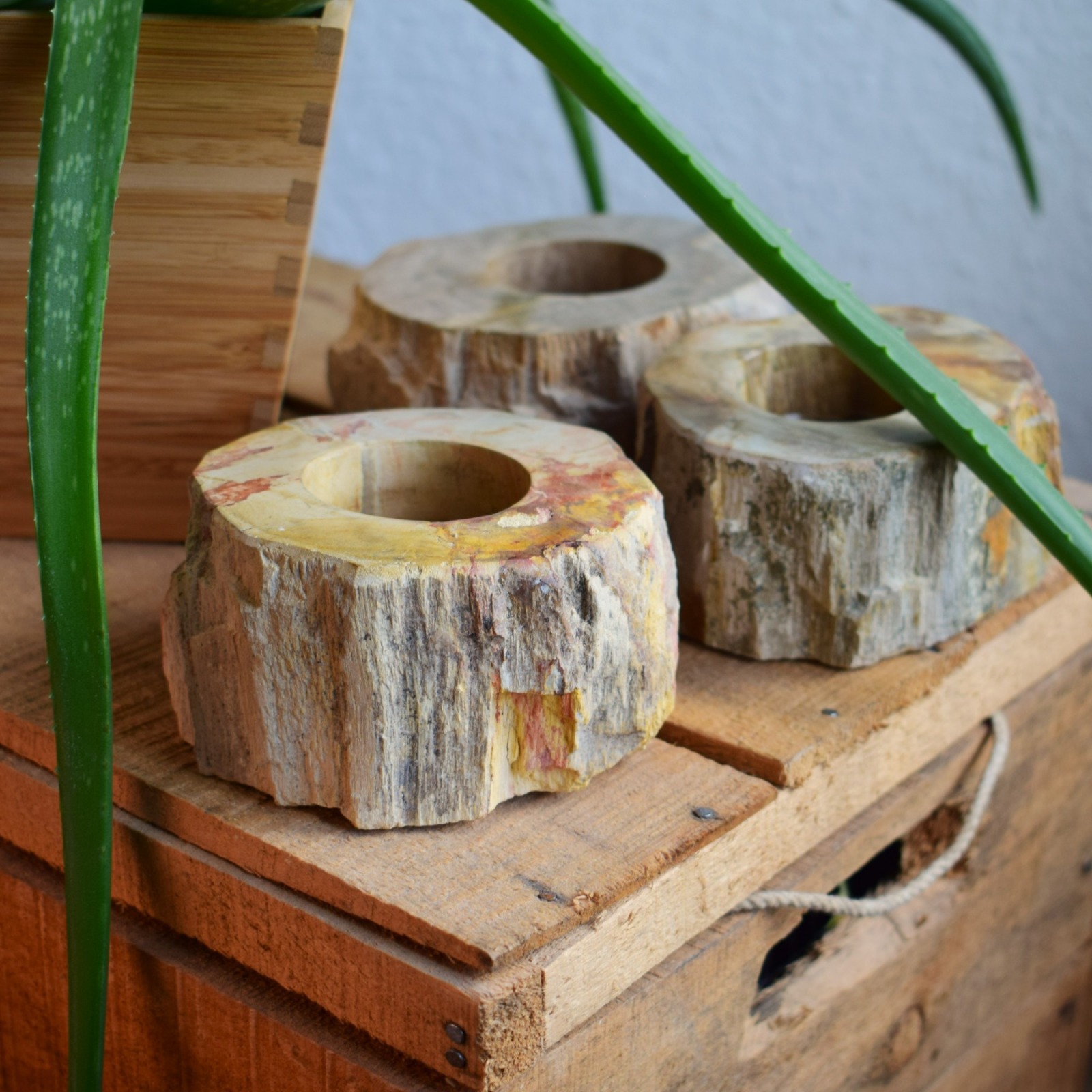 Teelichthalter aus versteinertem Holz