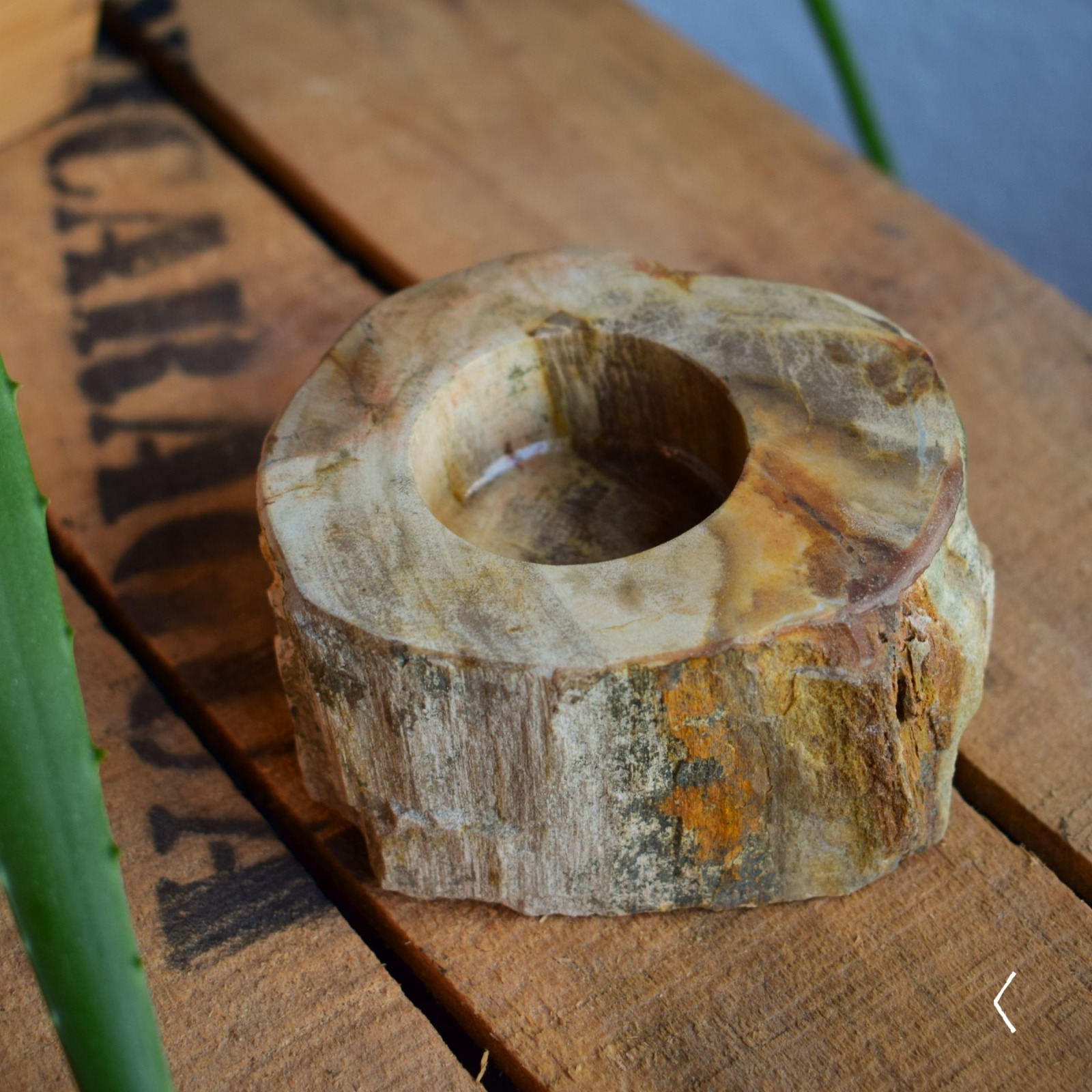 Teelichthalter aus versteinertem Holz 6
