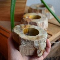 Teelichthalter aus versteinertem Holz 9