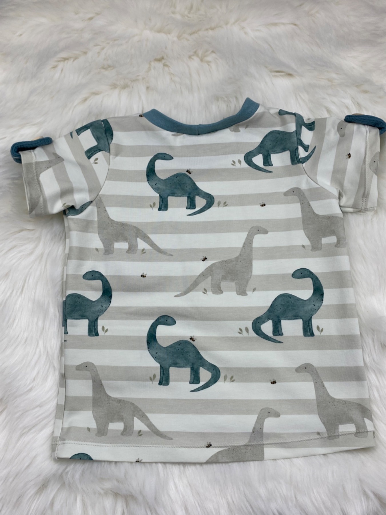 T - Shirt Dinosaurier 2