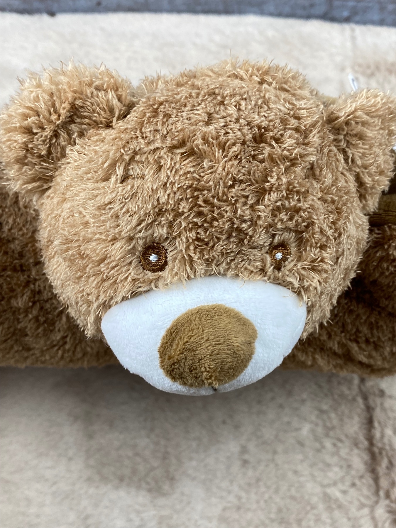 Kuschelkissen Teddy personalisiert mit Namen 7