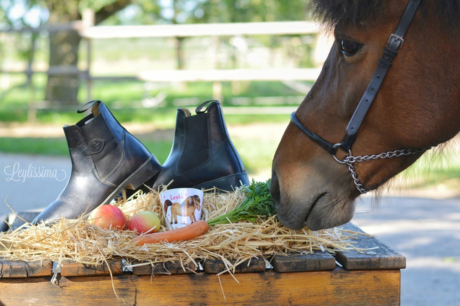 Kindergeschirr Pferd personalisiertKinderbecher Pferd mit Namen aus Melamin 8