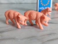 5 kleine Schweine 4
