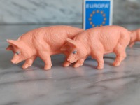 5 kleine Schweine 5