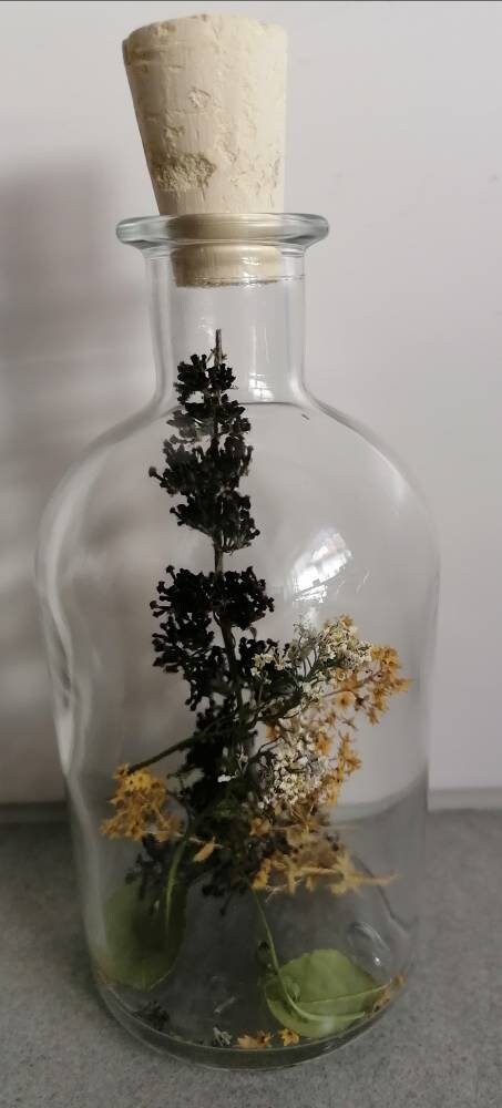 Trockenblumen in der Flasche