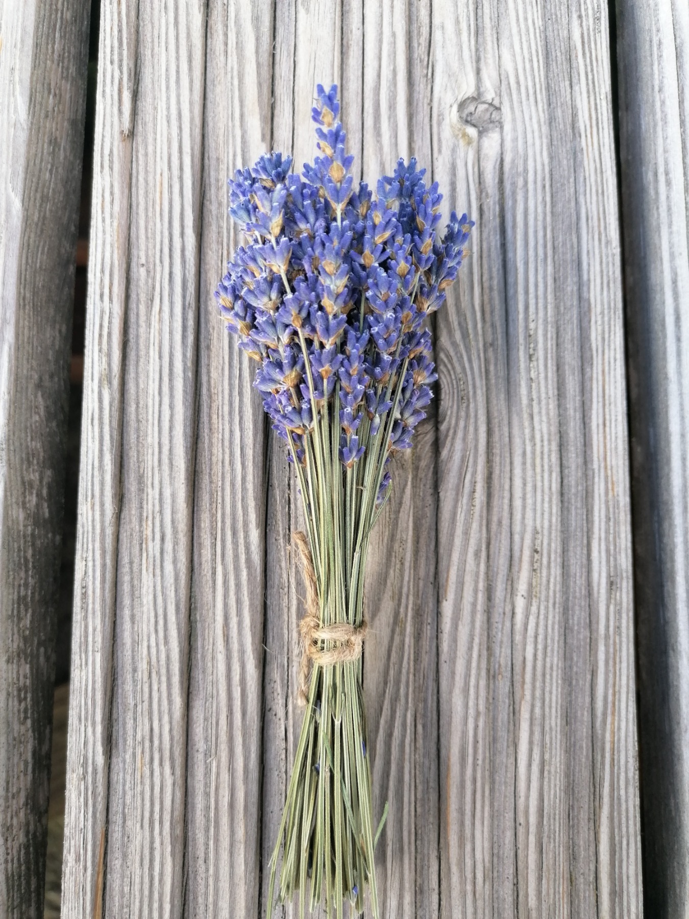 Trockenblumen Lavendelstrauß