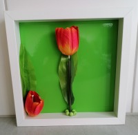 Bilderrahmen mit Vase und roter Tulpe 2